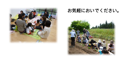 チャボっこクラブ写真
