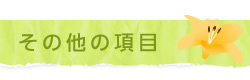 その他の項目