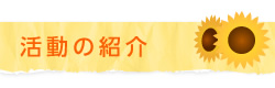 活動の紹介