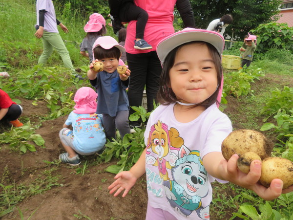 じゃがいもほりしたよ